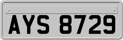AYS8729