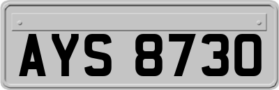AYS8730