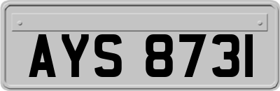AYS8731