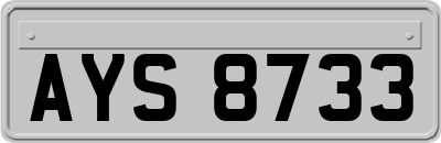 AYS8733