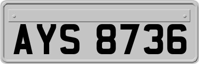 AYS8736