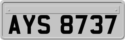 AYS8737