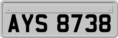 AYS8738