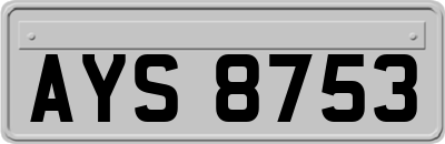 AYS8753
