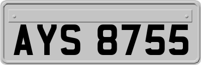 AYS8755