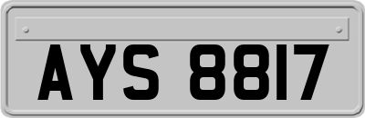AYS8817