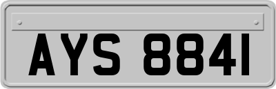 AYS8841