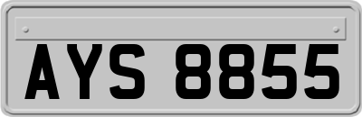 AYS8855