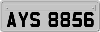 AYS8856