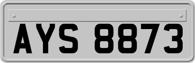 AYS8873