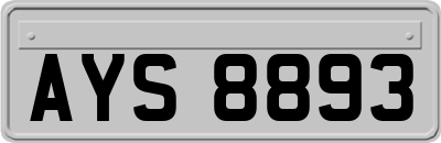 AYS8893