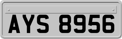 AYS8956