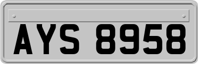 AYS8958