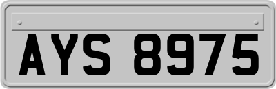 AYS8975
