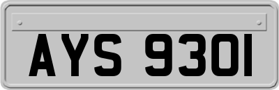 AYS9301