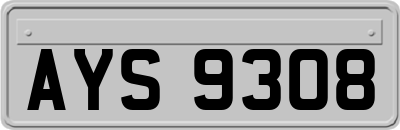 AYS9308