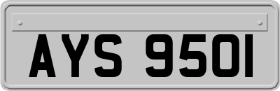 AYS9501