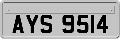 AYS9514