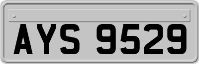 AYS9529