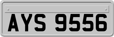AYS9556