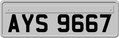 AYS9667