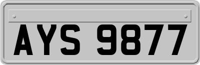 AYS9877
