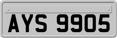 AYS9905