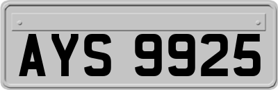 AYS9925