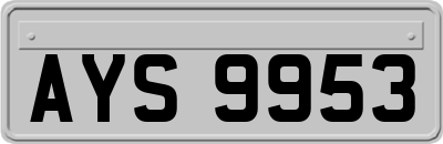 AYS9953