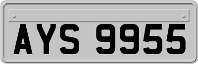 AYS9955