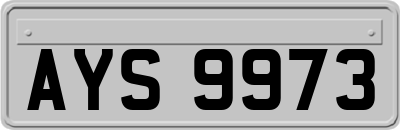 AYS9973