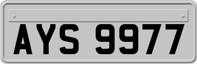 AYS9977