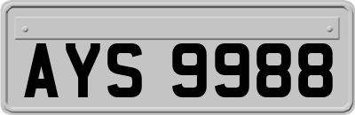 AYS9988