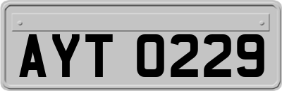 AYT0229
