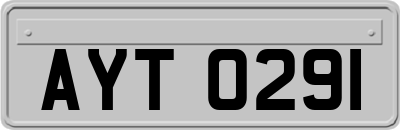 AYT0291