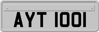 AYT1001