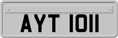 AYT1011