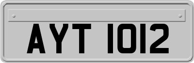 AYT1012