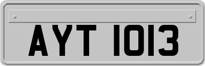 AYT1013