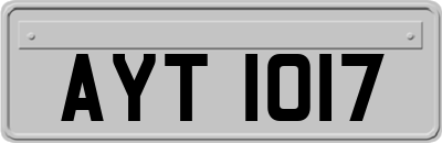AYT1017