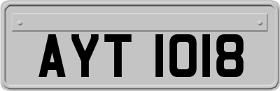 AYT1018