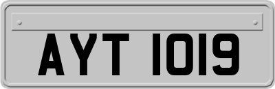 AYT1019