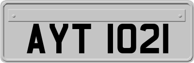 AYT1021