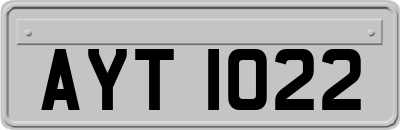 AYT1022