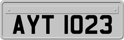 AYT1023