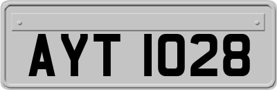 AYT1028
