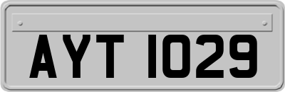 AYT1029