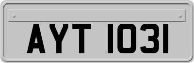 AYT1031