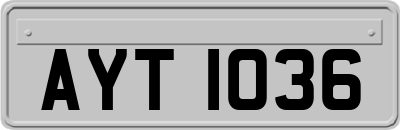 AYT1036