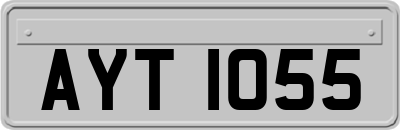 AYT1055